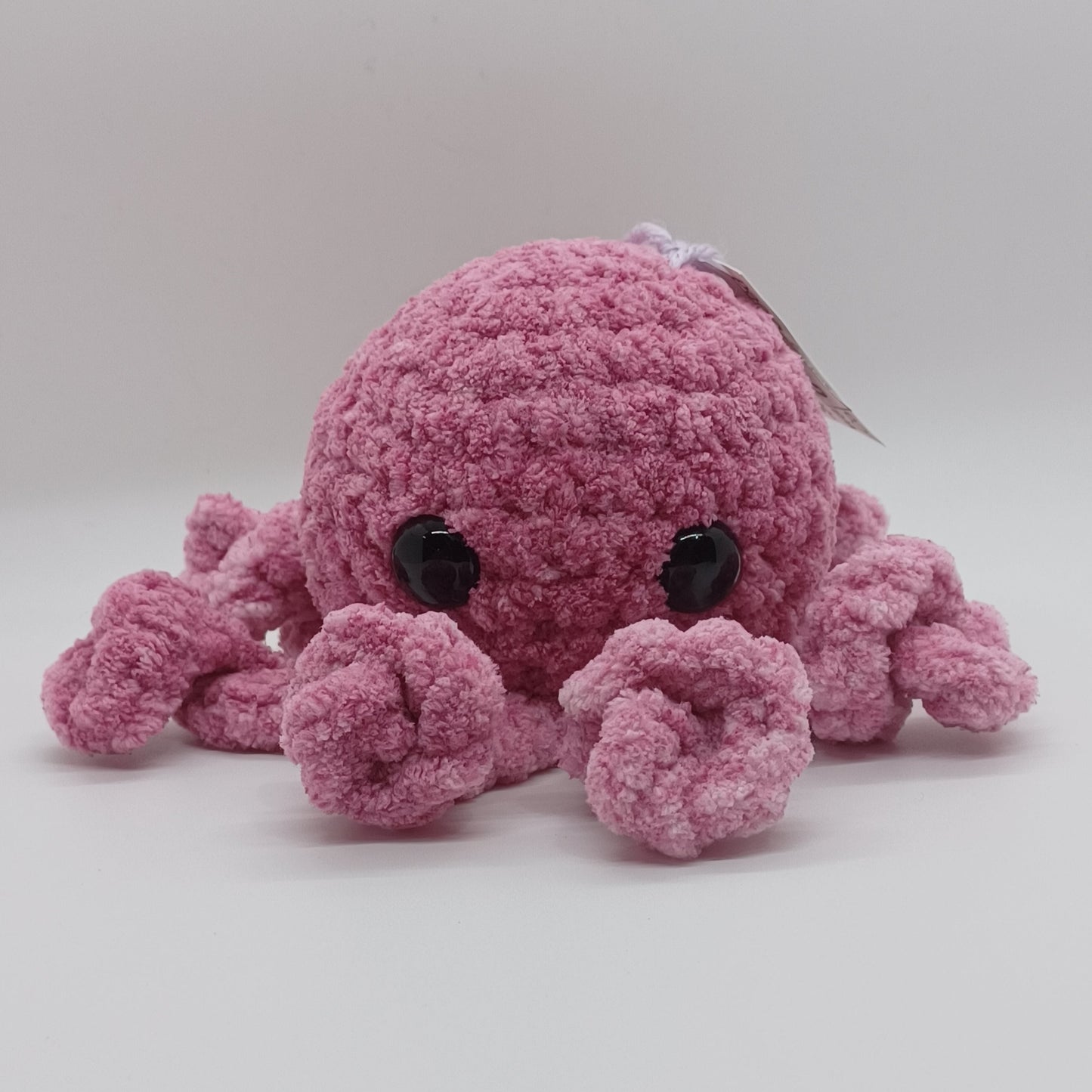 Small Octopus