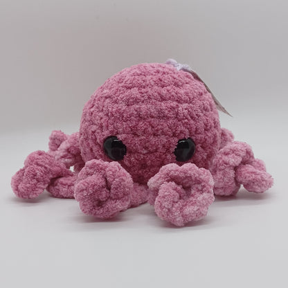 Small Octopus