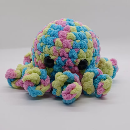 Small Octopus